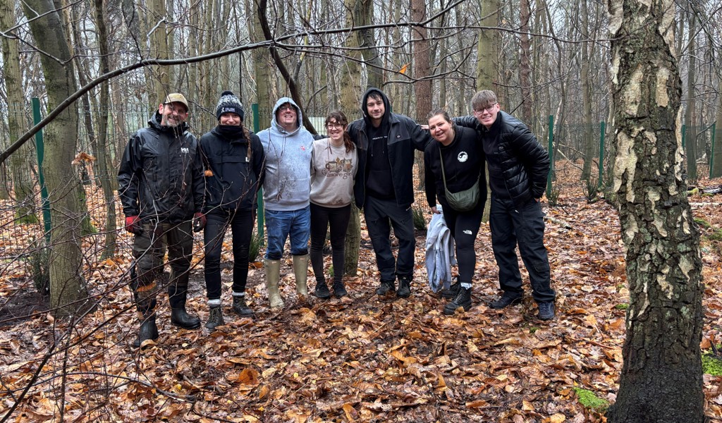 Tree Planting